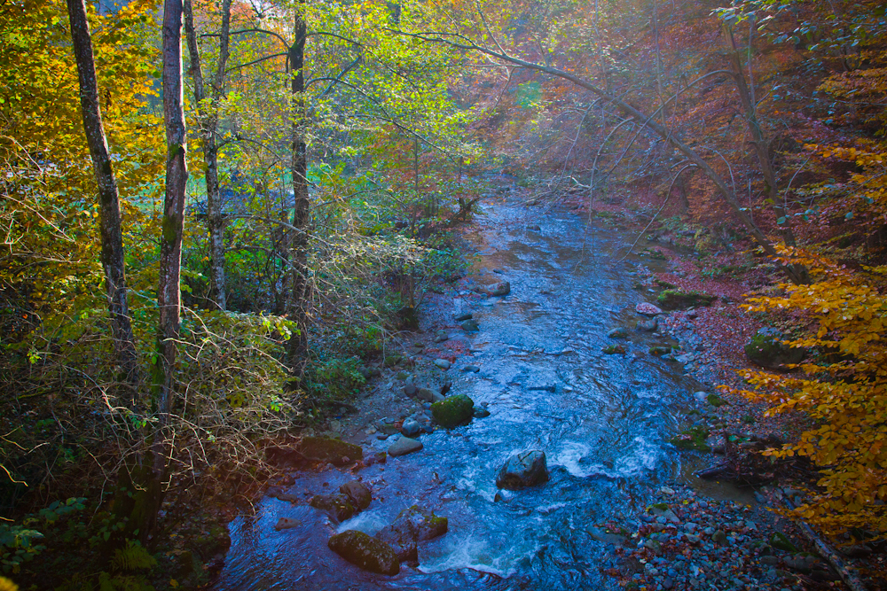 Valsan river Alex Gavan